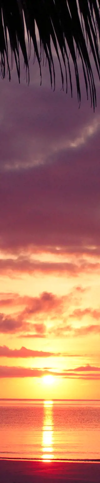 Erlebe Cape Tribulation